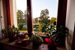 IMG 7408-26    