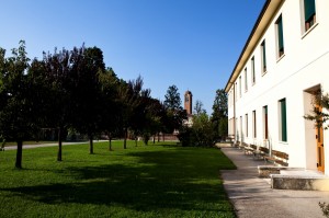 IMG 7367-5    