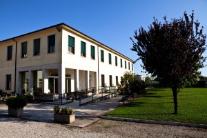 IMG 7368-6    